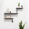 The Adjustable Shelf - Iron & Sprout